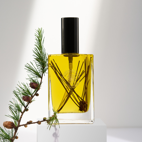 Heartwood Botanical Body Oil | Grounding Forest