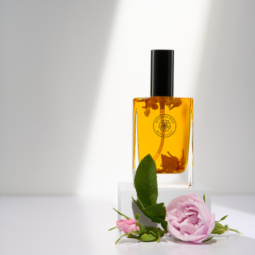 Queen of Hearts Botanical Body Oil  | Balancing Rose